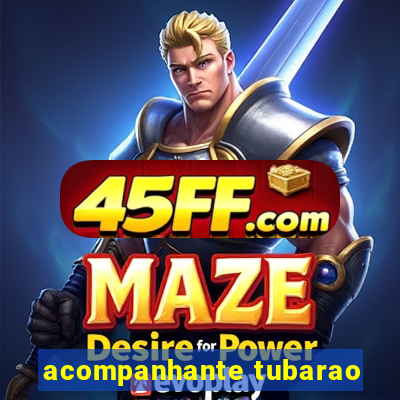 acompanhante tubarao